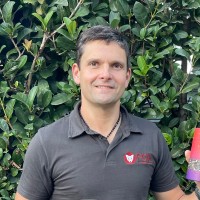 Victor Volpe