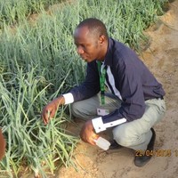 Abdoulaye Berthe