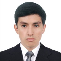 Diego Llaque Vite