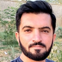 Muhammad Tauqeer Alam