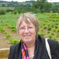 Averil Evans