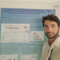 Sergio D'Ambrosio