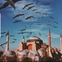 Suleyman Alsayyid khalil