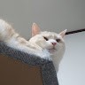 진혜민
