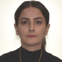 Mahdieh Heidari