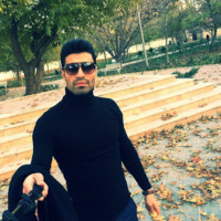 Hamed Shahreza