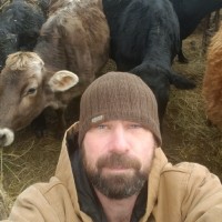 Stuart Harvey