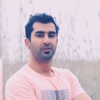 Saeed Arfaee