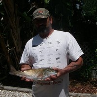 bob luersen