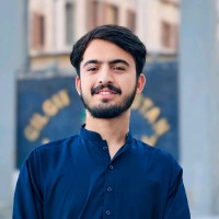 Syed Ali shan