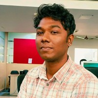 Arockia Michael Mervin P J