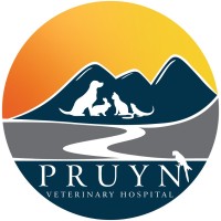 Pruyn Veterinary Hospital