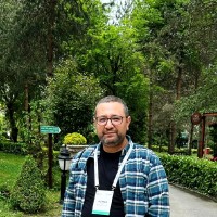Ali Rıza Gür