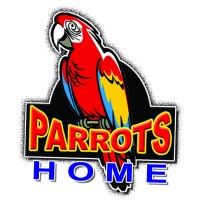 Parrots Home