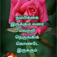 Veeramani Mani