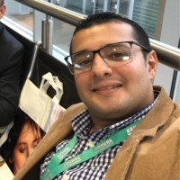 Ayman Refaat Saleh