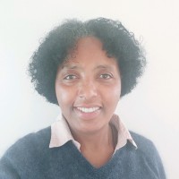 Meaza A. Gebre