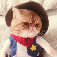 林汉文