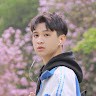 Sơn Đinh