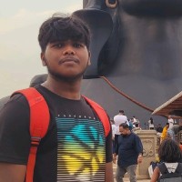 Vishwa S