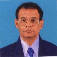 Raman Parameswaran