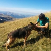 Pablo Telleria