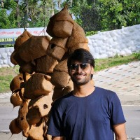 Anil kumar Dwivedi