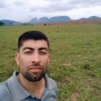 Land Firmino