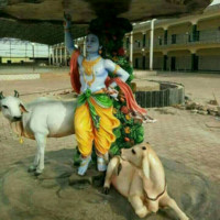 Hari Pandey