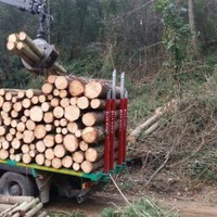 Jorge Gurbindo Carrasco