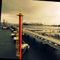 Oktavianus Fransiskus Sihombing