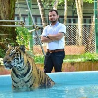 MITUL AGARWAL