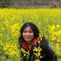 Hồ Thị Kiều Trâm