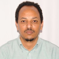 Mehari Frezghi
