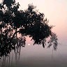 akhilesh kumar ram