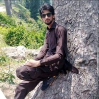 Waqar Shah