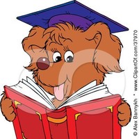 LM ARNAL teachandtranslate(at)yahoo(dot)com