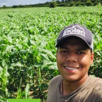 Joao Victor Malta Pereira