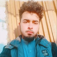 Amir Hamza