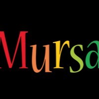 Mursal Ludin
