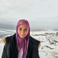 Fatima Hamieh