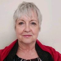 Sandi du Toit
