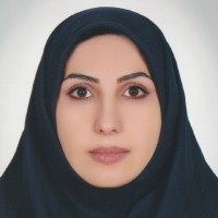 Roya Aghapour