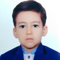 Ali Najafi