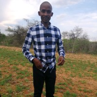 Thapelo Seepe