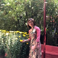 PHUONG DO