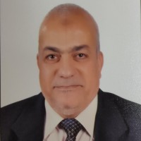 Hussien Abo El-Fotoh