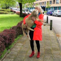 Cecilia Van Weel