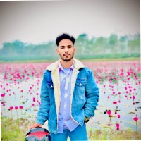 MD Robin Hossain