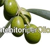 Massimiliano Mercolini